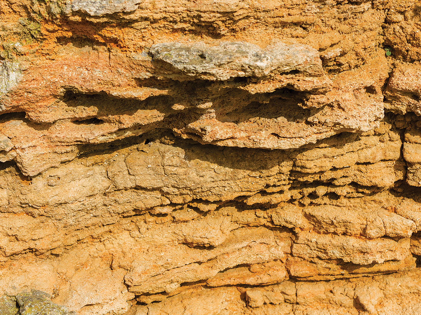 Rapid Limestone Deposits Match Flood Account The Institute for Creation Research